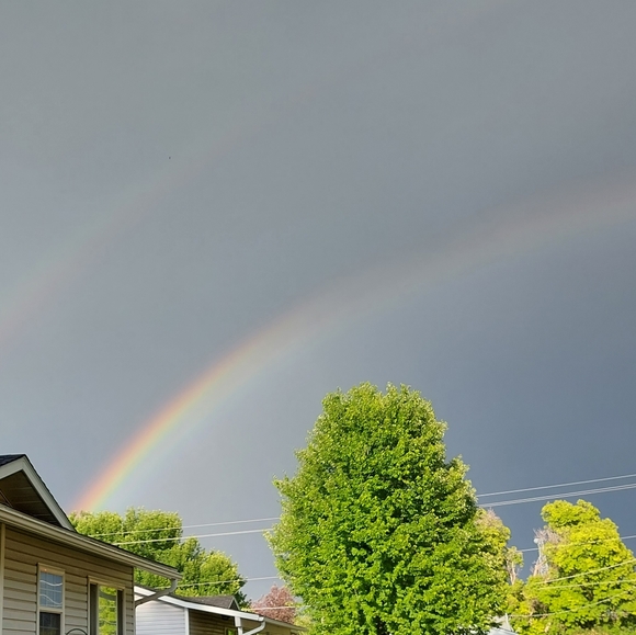 Meet your Posher, Katrina - Picture 7 of 8